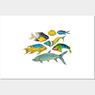 Caribbean Fish in watercolor Posters and Art